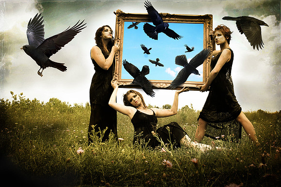 Black Birds